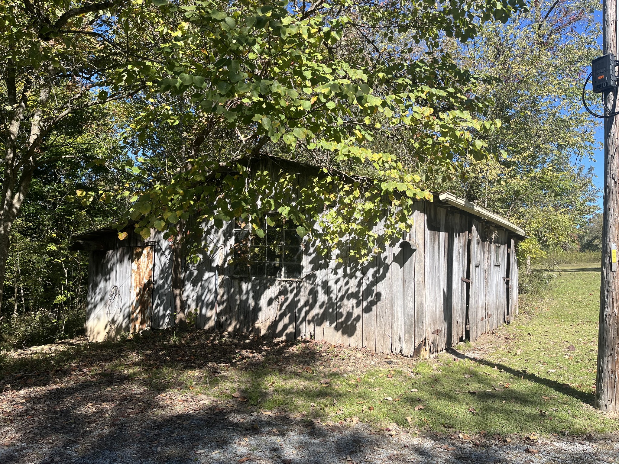 1125 Macon Wall Road Ashland City, TN 37015 - Photo 5 of 25 a backyard of a house with large trees
