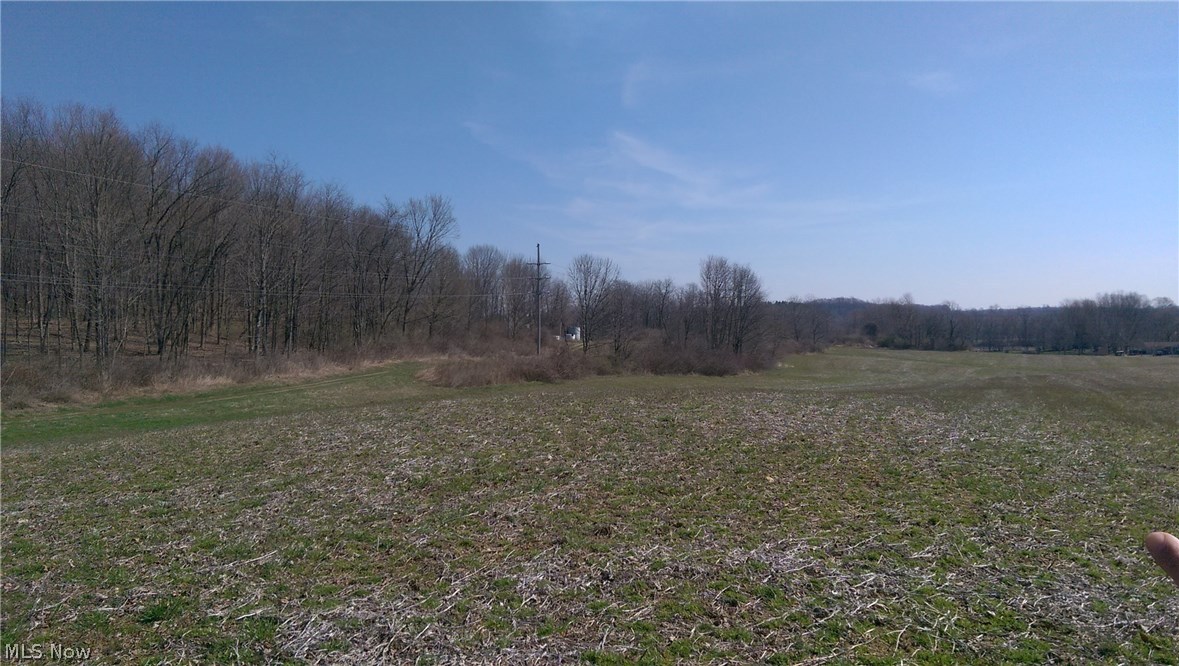 Homeworth Road Homeworth, OH 44634 - Photo 7 of 16