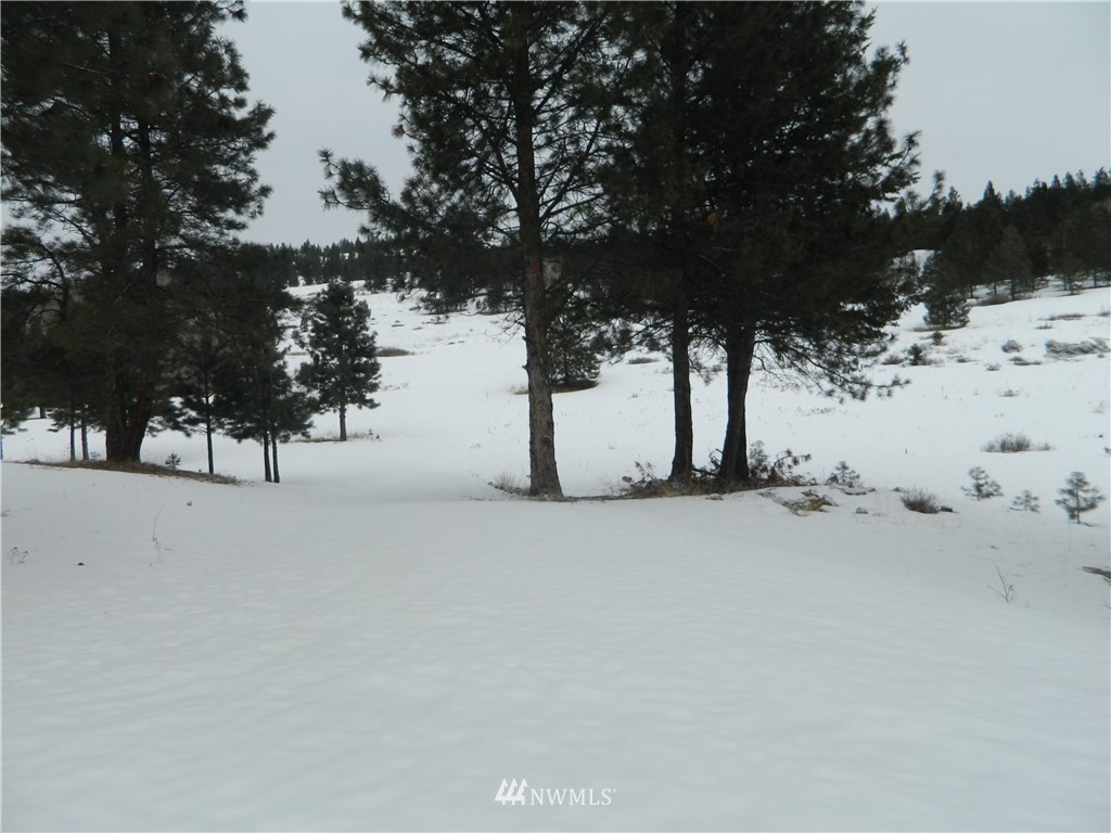 1111 Indian Mary Loop Road Tonasket, WA 98855 - Photo 14 of 23 Gallery Image 14