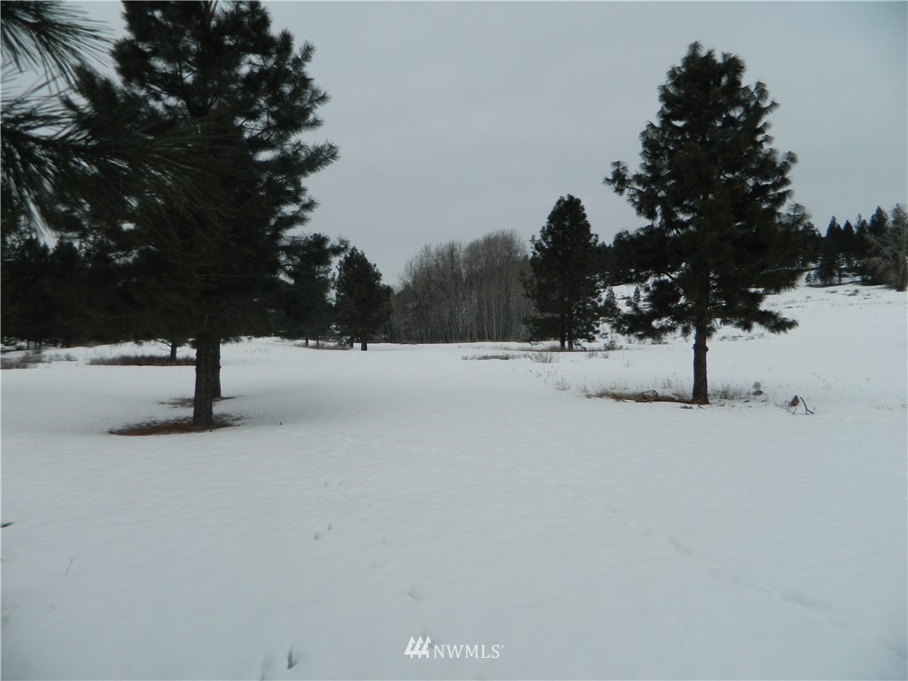1111 Indian Mary Loop Road Tonasket, WA 98855 - Photo 22 of 23 Gallery Image 22
