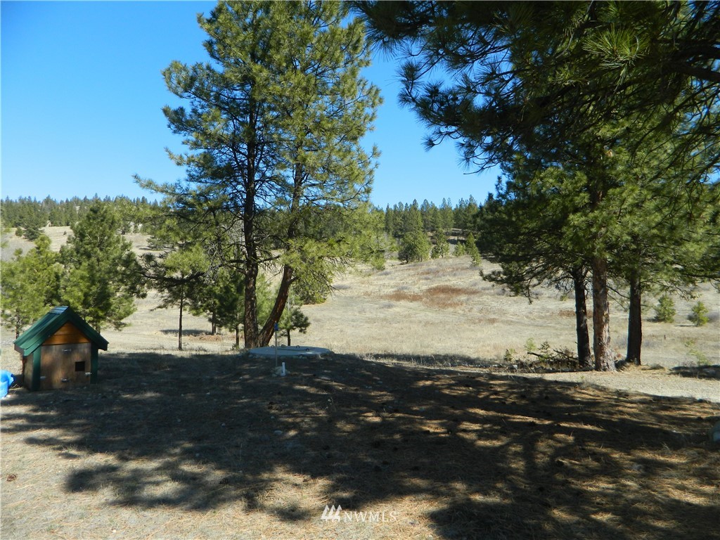 1111 Indian Mary Loop Road Tonasket, WA 98855 - Photo 5 of 23 Gallery Image 5