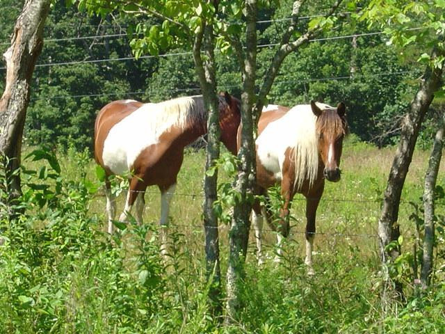 9999 Patton Road London, KY 40744 - Photo 26 of 28 Photo 26