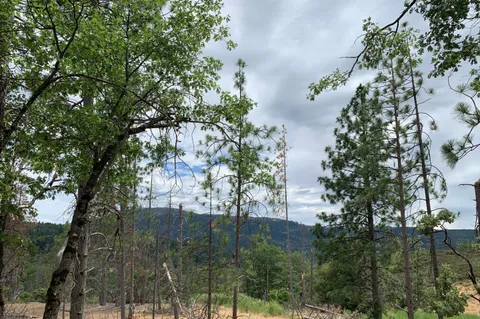$140,000 | 8655 Harrington Flat Road, Middletown, CA 95461