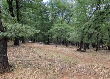$140,000 | 8655 Harrington Flat Road, Middletown, CA 95461