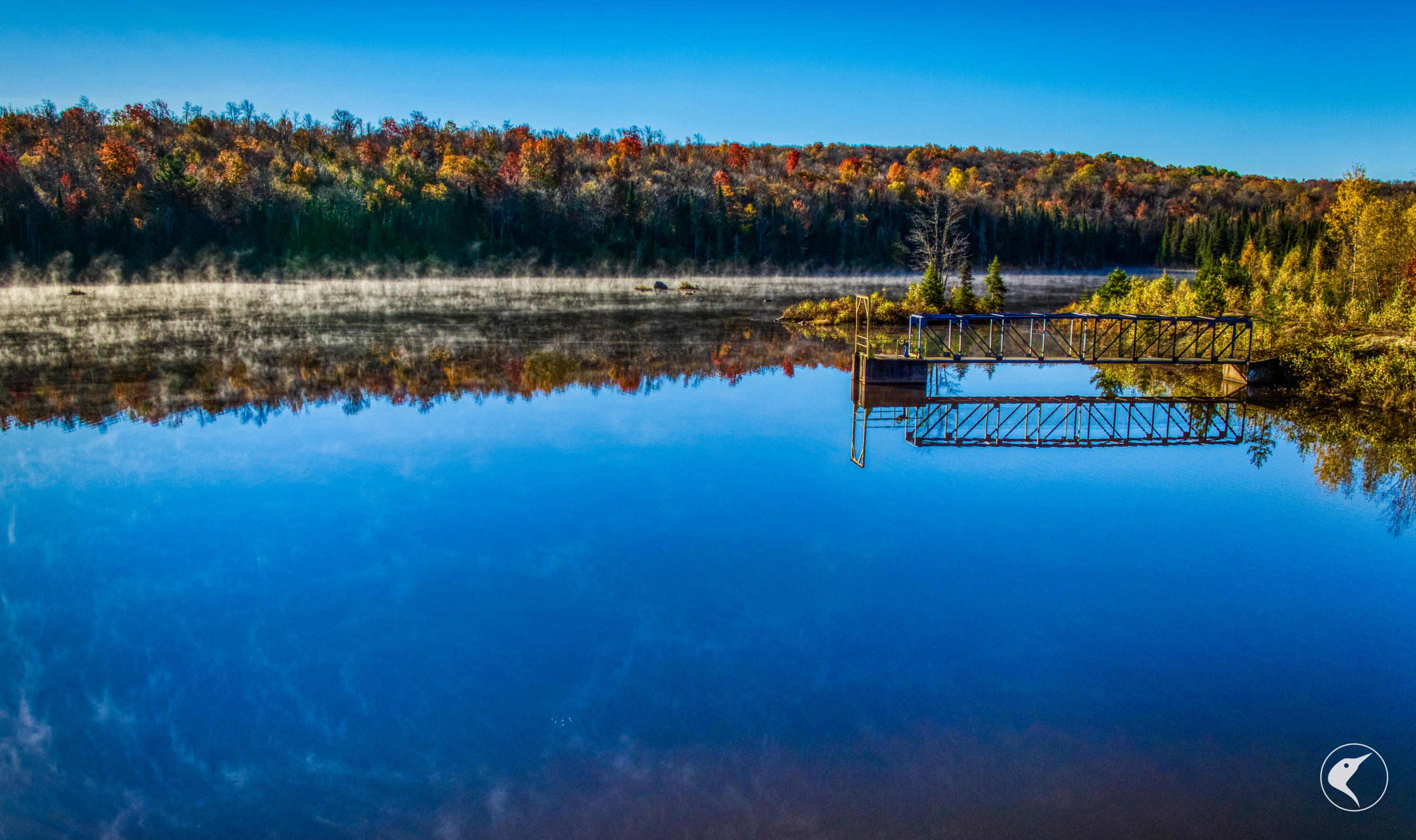 4891 State Rte 3 Newton Falls, NY 13666 - Photo 20 of 41 DJI_20241018093043_0166_D