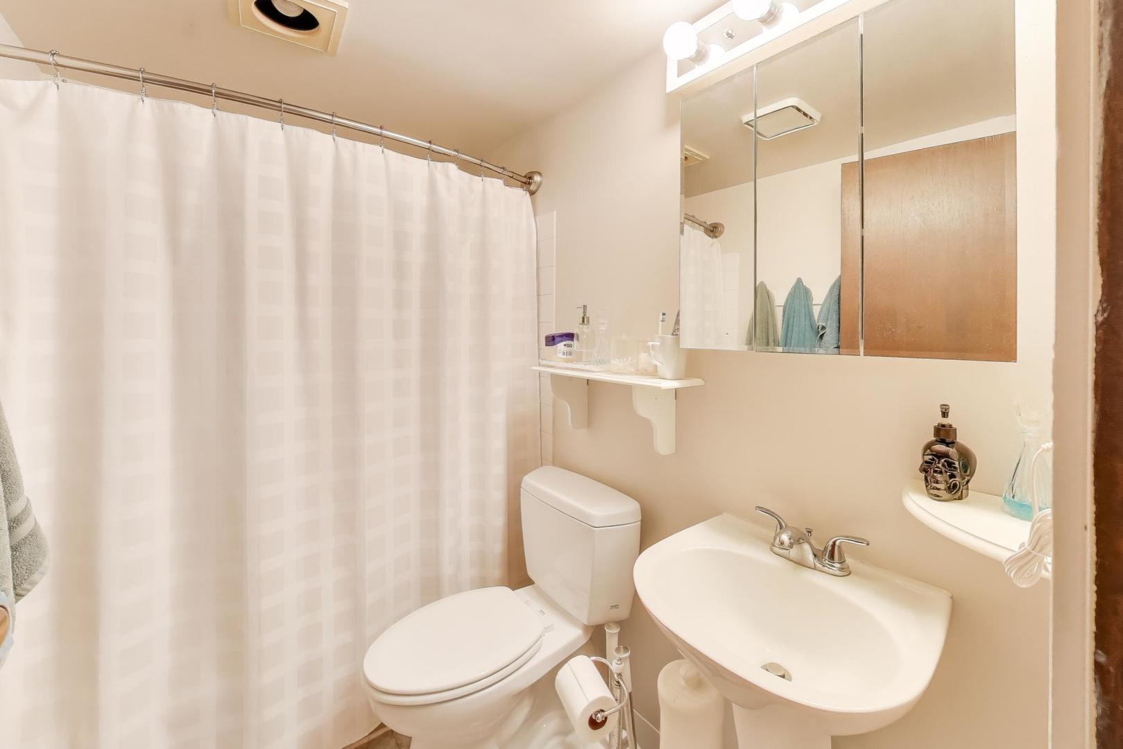 27809 South Will Center Road Monee, IL 60449 - Photo 23 of 47 a bathroom with a sink a toilet and shower curtain
