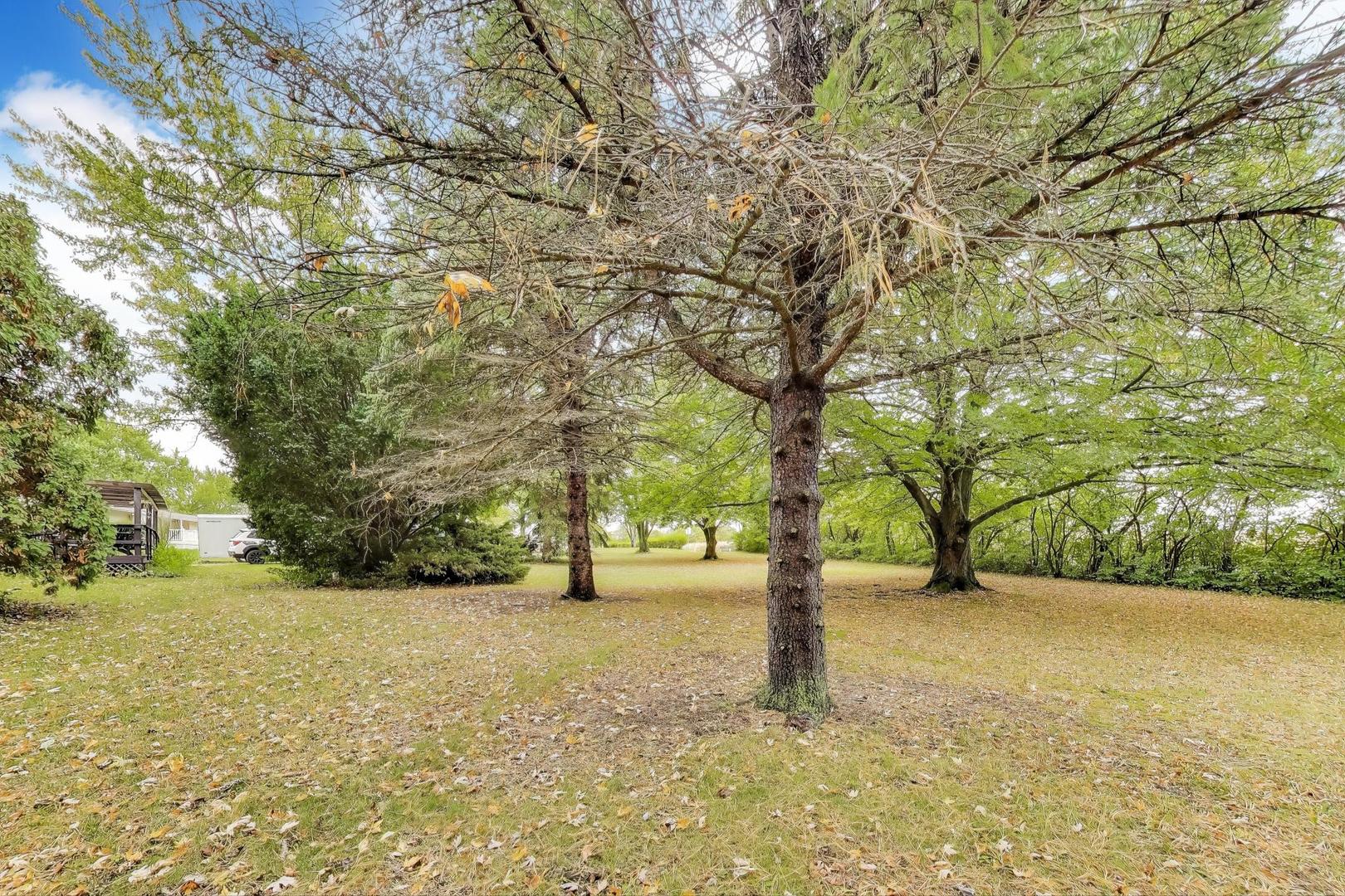 27809 South Will Center Road Monee, IL 60449 - Photo 3 of 47 a view of yard with tree