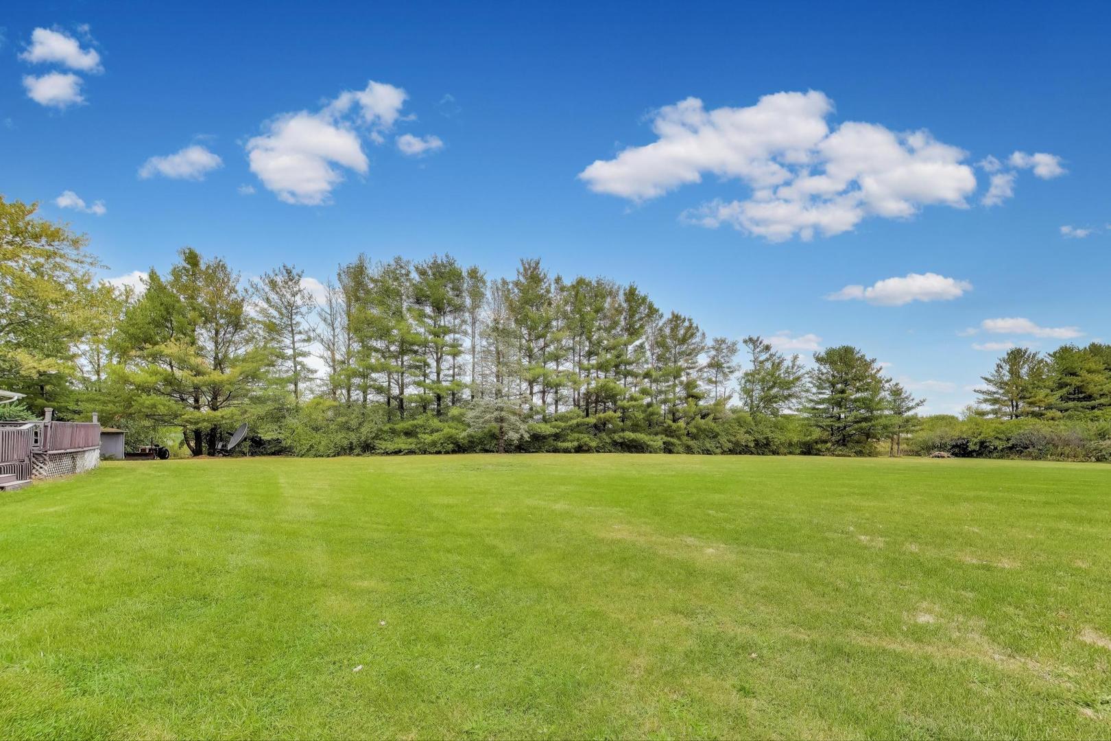27809 South Will Center Road Monee, IL 60449 - Photo 42 of 47 a view of a golf course with a tree