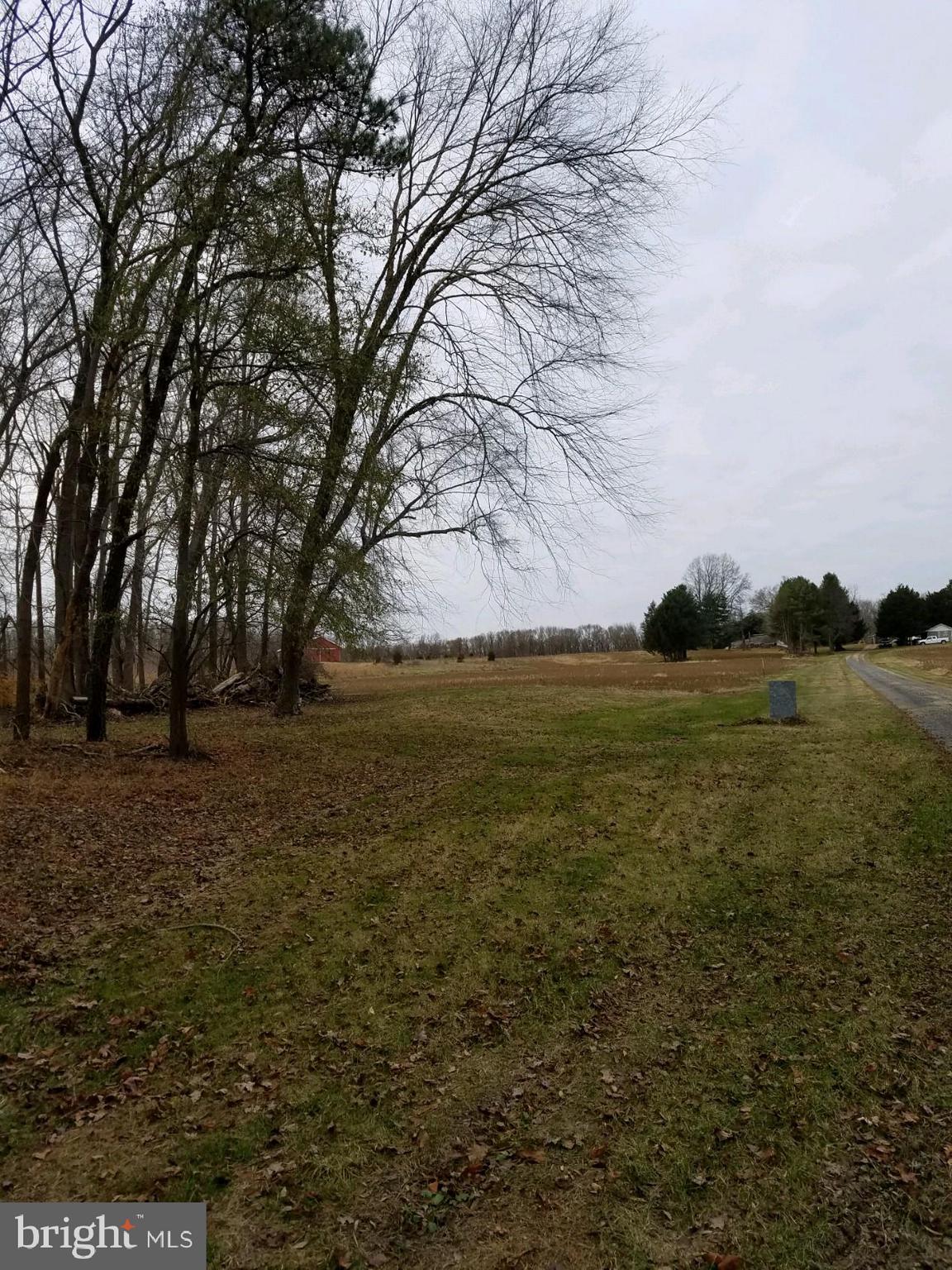 Lot 2 Pinewood Road Earleville, MD 21919 - Photo 3 of 10 Gallery Image 3
