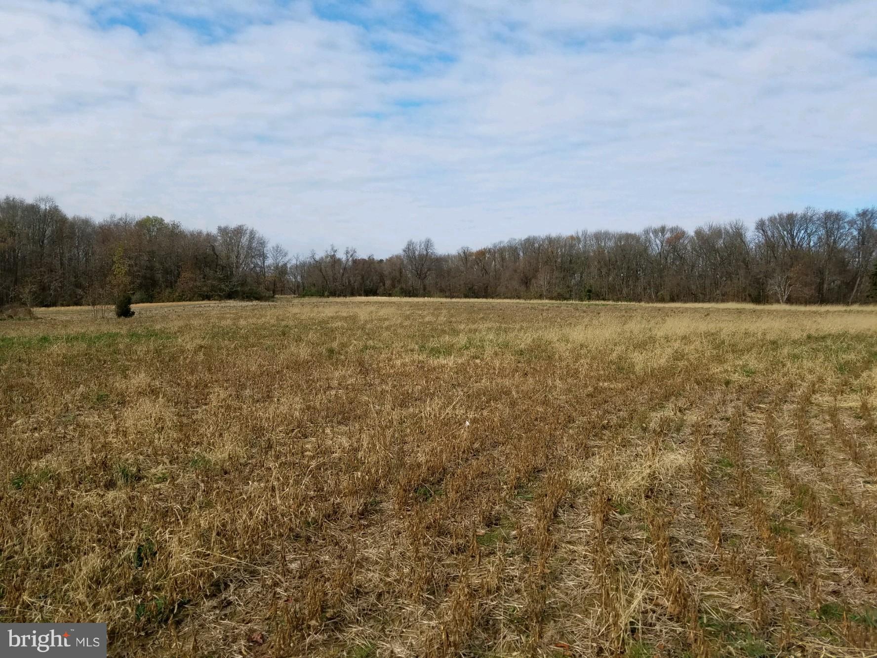 Lot 2 Pinewood Road Earleville, MD 21919 - Photo 4 of 10 Gallery Image 4