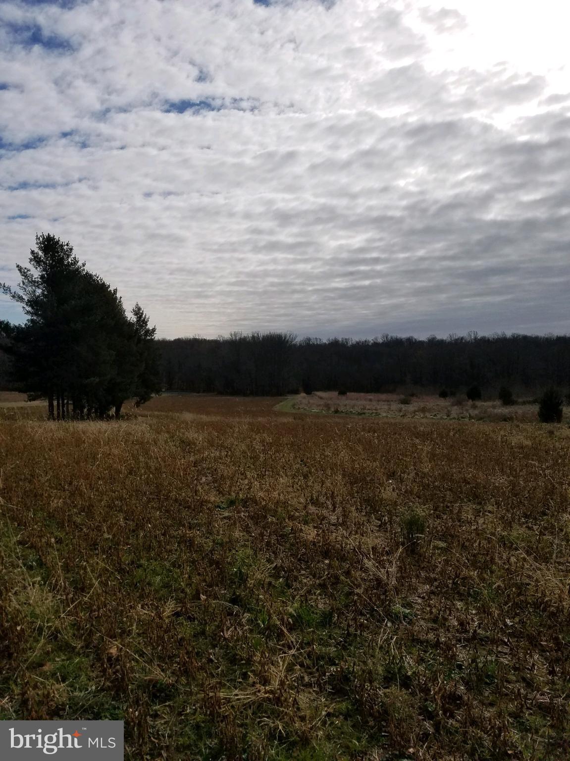 Lot 2 Pinewood Road Earleville, MD 21919 - Photo 5 of 10 Gallery Image 5