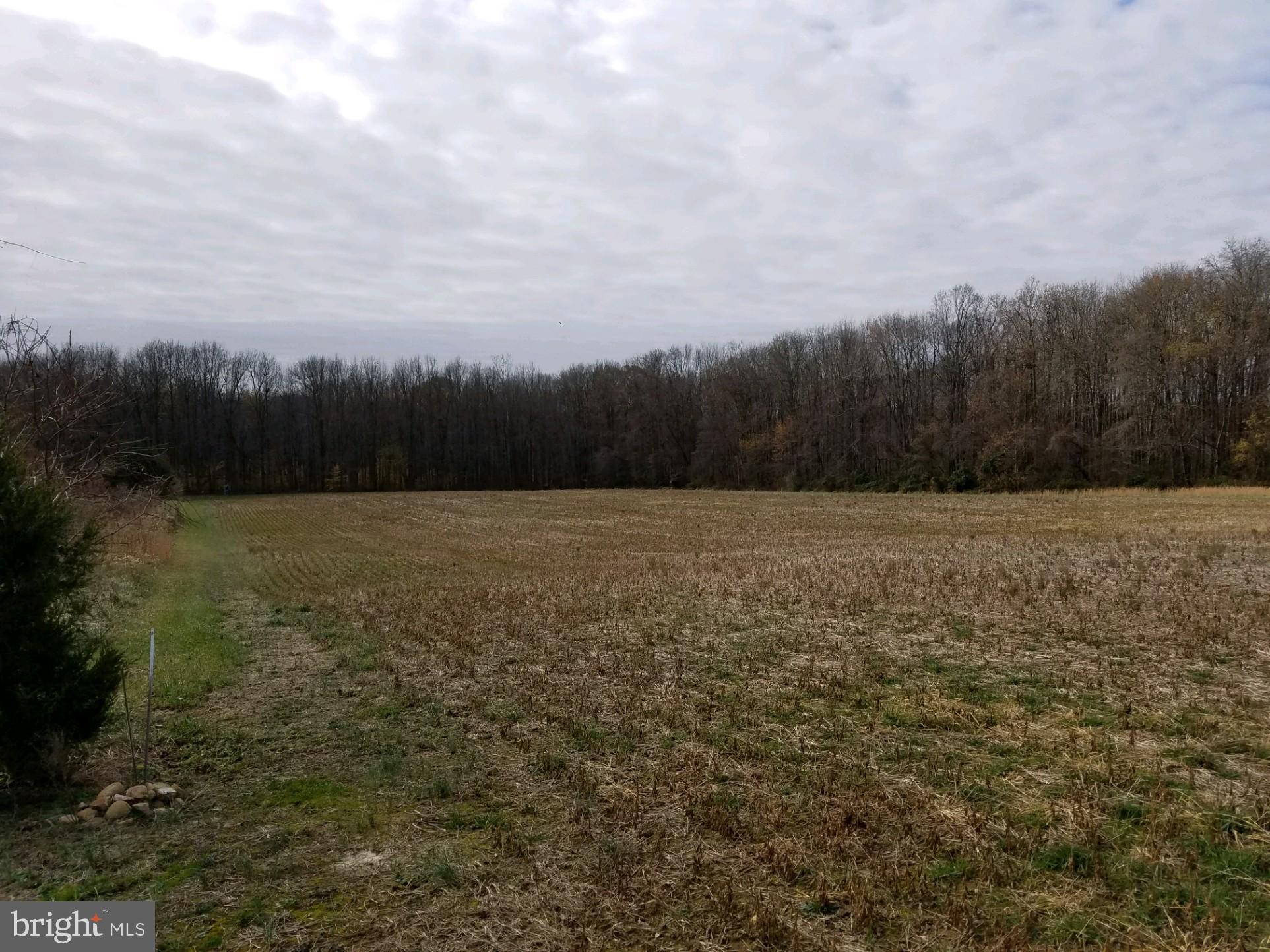 Lot 2 Pinewood Road Earleville, MD 21919 - Photo 8 of 10 Gallery Image 8