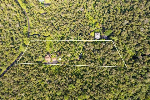 a close up of a plant