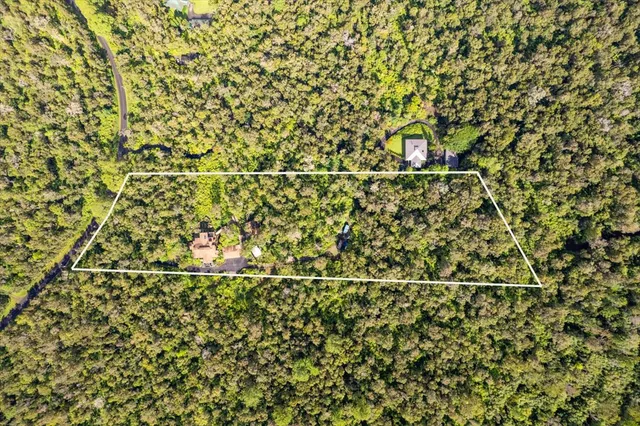 a close up of a plant