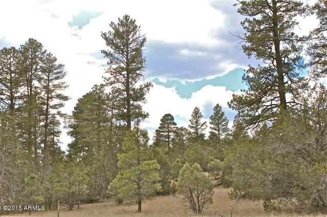 3042 Ponderosa Road, Unit 10 Overgaard, AZ 85933 - Photo 1 of 13 3042 Ponderosa-1
