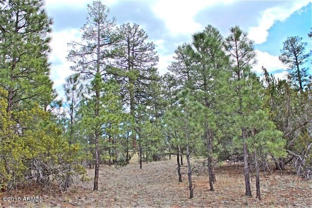 3042 Ponderosa Road, Unit 10 Overgaard, AZ 85933 - Photo 11 of 13 Lot17