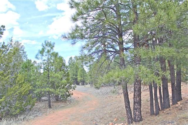 3042 Ponderosa Road, Unit 10 Overgaard, AZ 85933 - Photo 12 of 13 Lot19