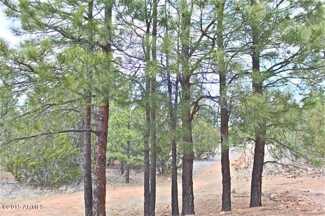 3042 Ponderosa Road, Unit 10 Overgaard, AZ 85933 - Photo 13 of 13 Lot20