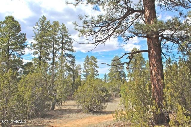 3042 Ponderosa Road, Unit 10 Overgaard, AZ 85933 - Photo 2 of 13 Lot