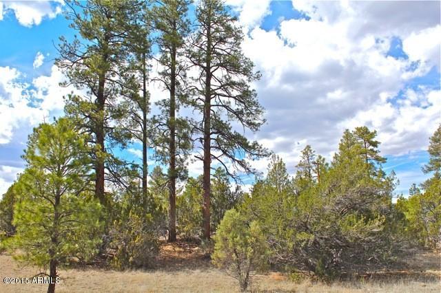 3042 Ponderosa Road, Unit 10 Overgaard, AZ 85933 - Photo 3 of 13 Lot2