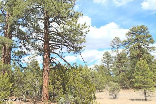 3042 Ponderosa Road, Unit 10 Overgaard, AZ 85933 - Photo 5 of 13 Lot6