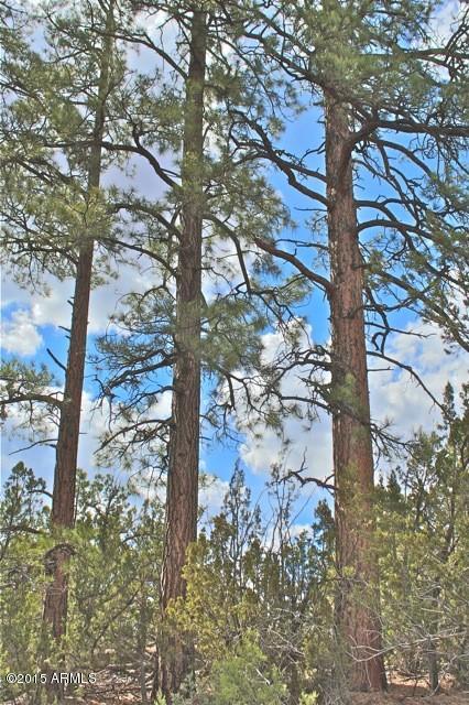 3042 Ponderosa Road, Unit 10 Overgaard, AZ 85933 - Photo 6 of 13 Lot8