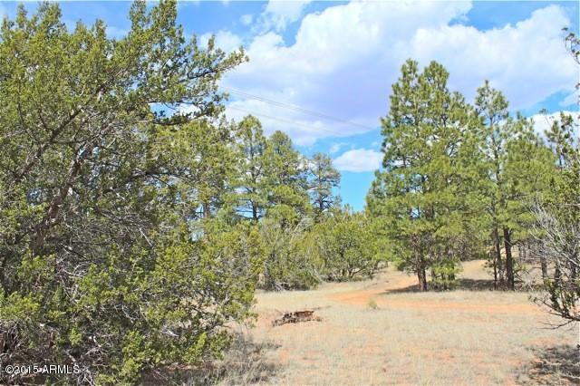 3042 Ponderosa Road, Unit 10 Overgaard, AZ 85933 - Photo 7 of 13 Lot9