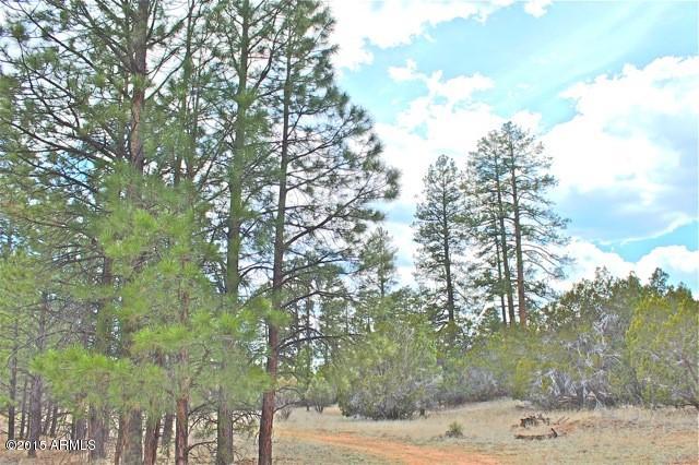 3042 Ponderosa Road, Unit 10 Overgaard, AZ 85933 - Photo 8 of 13 Lot13