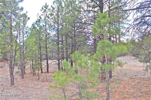 3042 Ponderosa Road, Unit 10 Overgaard, AZ 85933 - Photo 10 of 13 Lot15