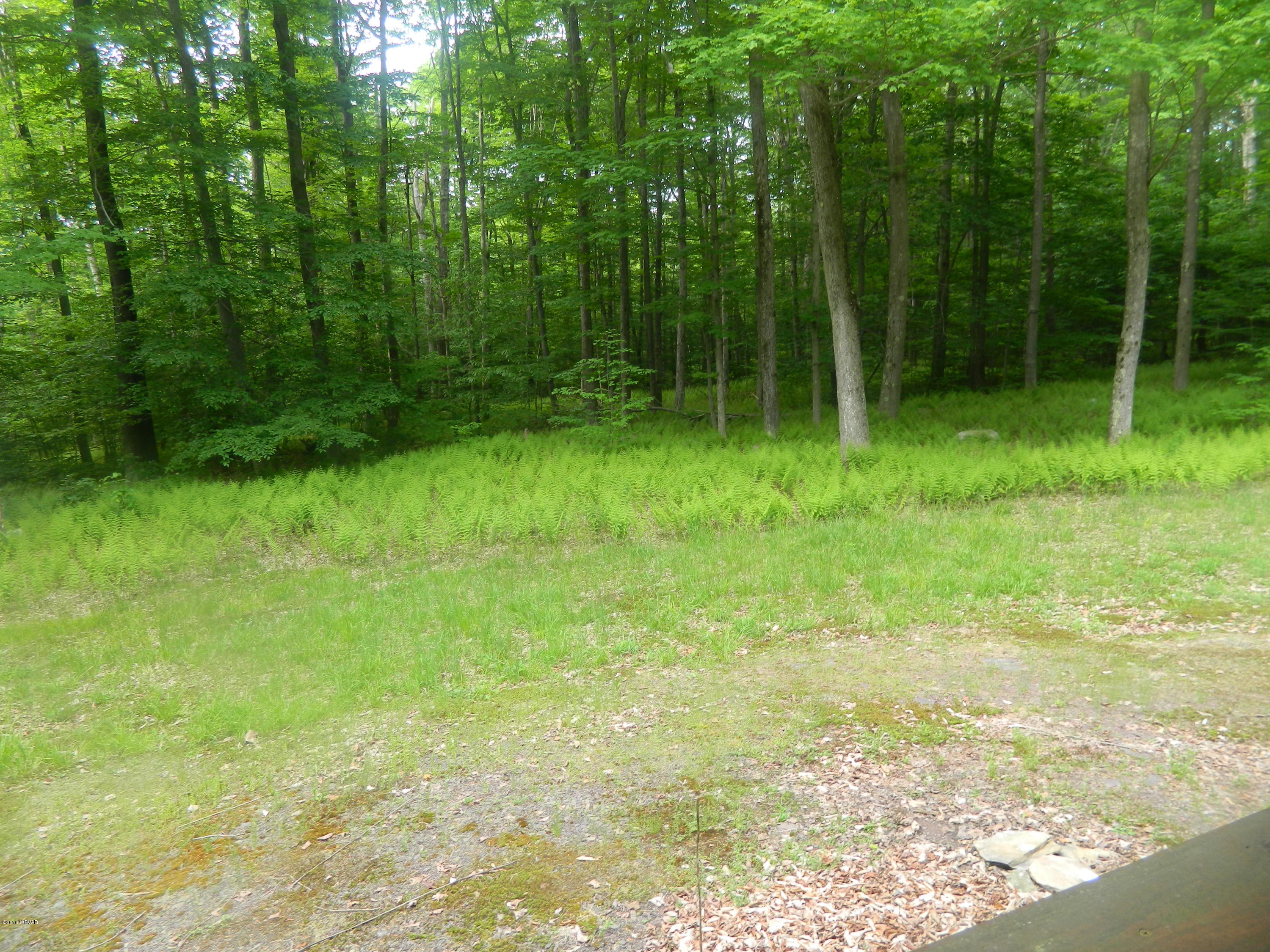 371 Coal Mine Road Dushore, PA 18614 - Photo 10 of 34 View from Back Porch