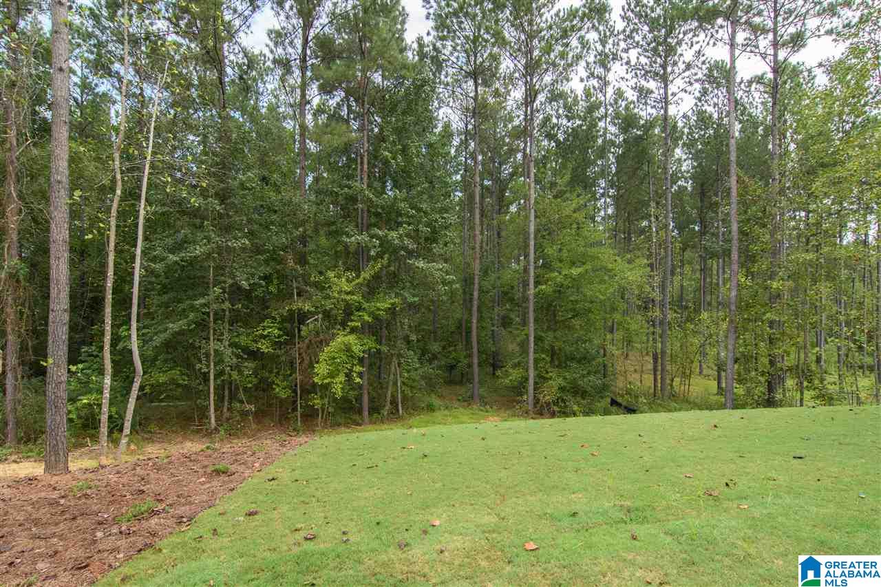 2168 County Road 336 Chelsea, AL 35043 - Photo 46 of 46