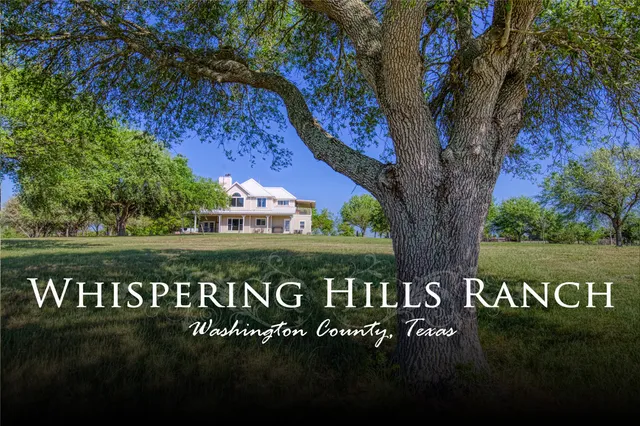 a view of a park with an trees