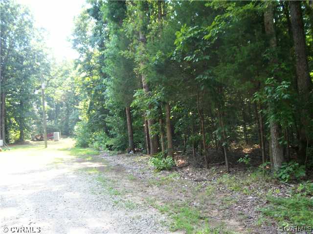 10702 Baltimore Road Ford, VA 23850 - Photo 2 of 2 a view of a forest with trees in the background