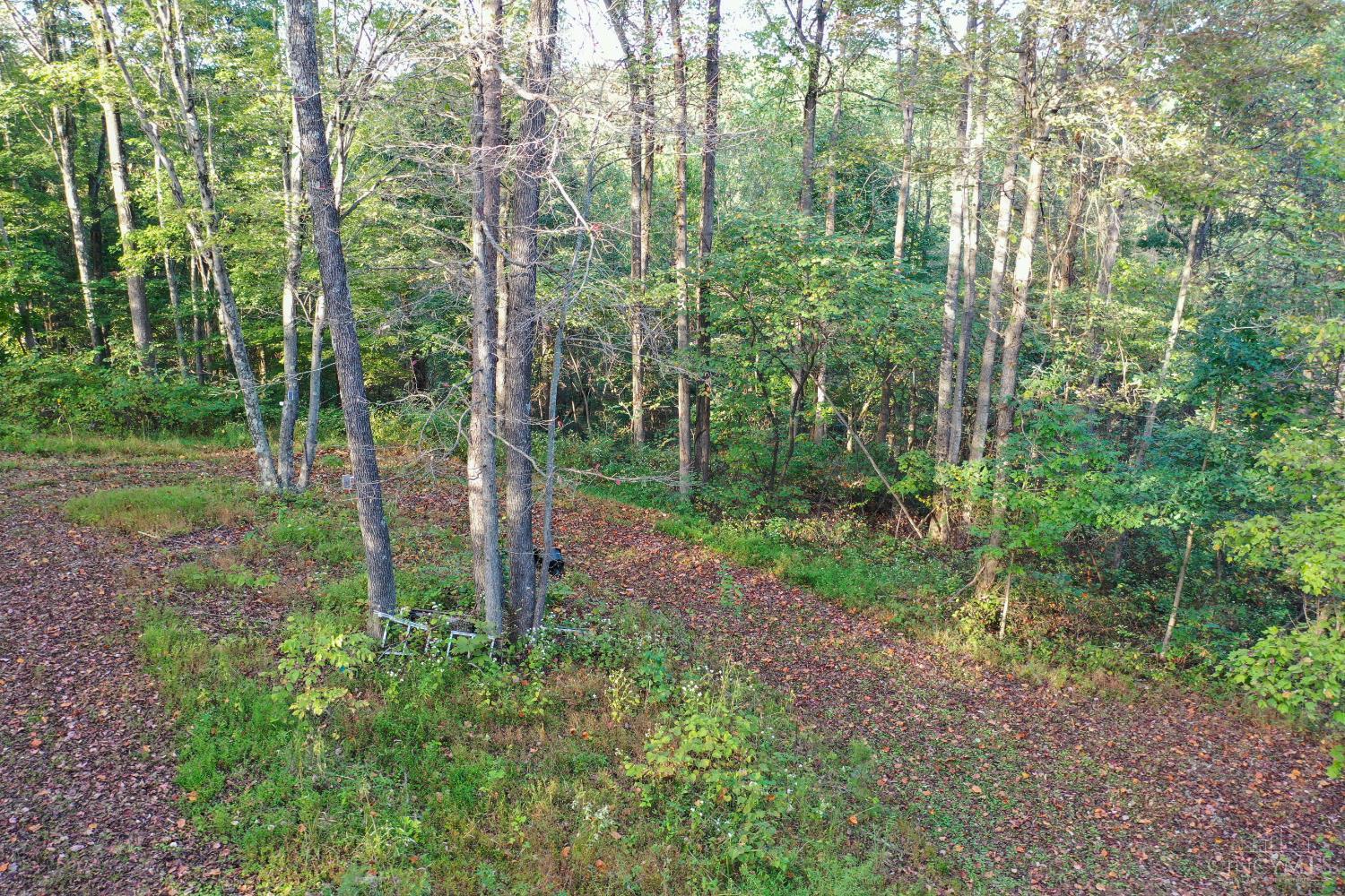 1285 Nelson Road Lucasville, OH 45648 - Photo 6 of 17