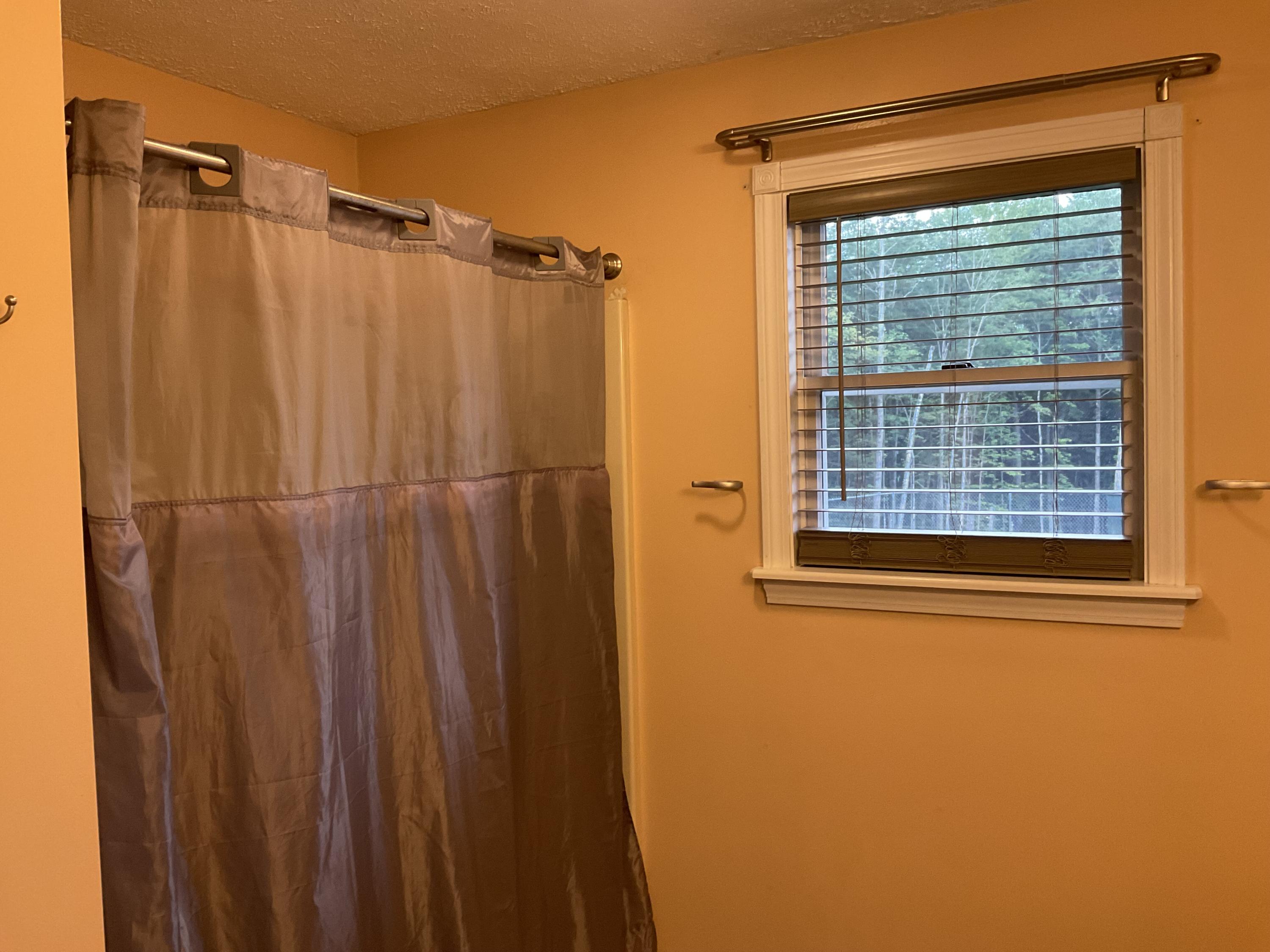 223 South Livermore Road Turner, ME 04282 - Photo 16 of 41 Shower