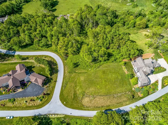 a view of a lush green forest with a mountain