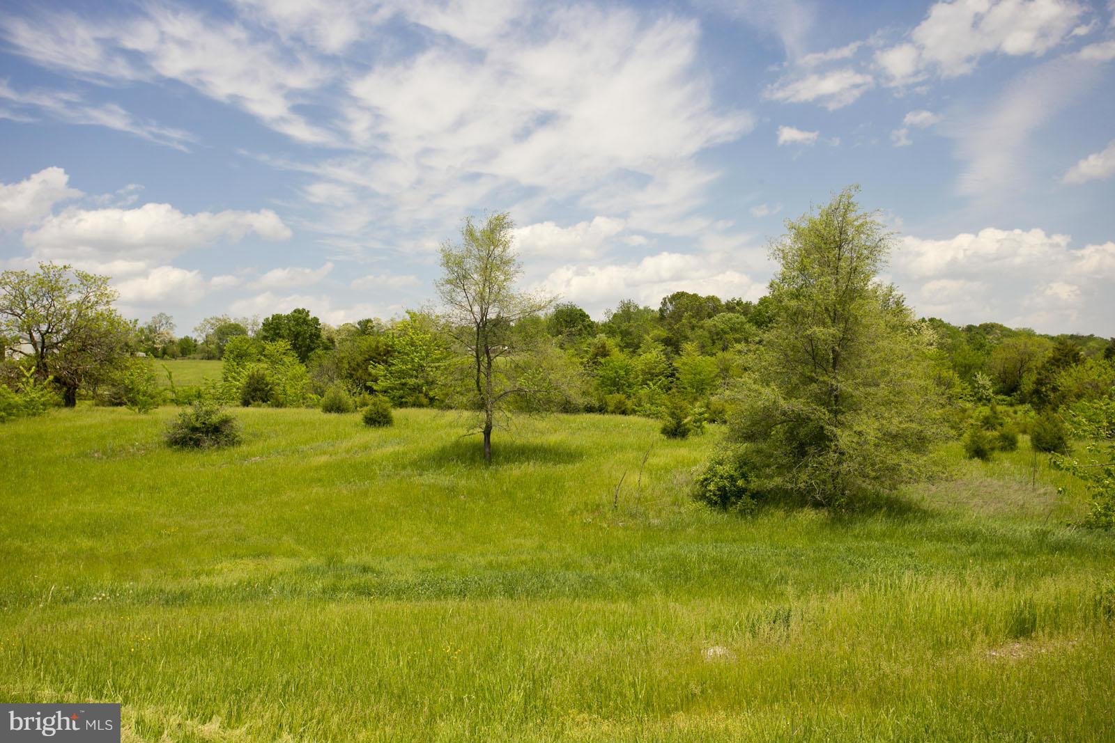 611 Veterans Road Middletown, VA 22645 - Photo 14 of 14 a view of yard with green space