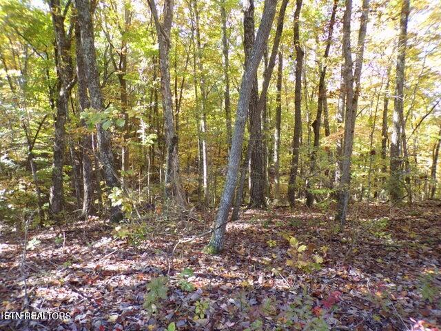 163 Manchester Road Crossville, TN 38558 - Photo 1 of 1 MANCHESTER
