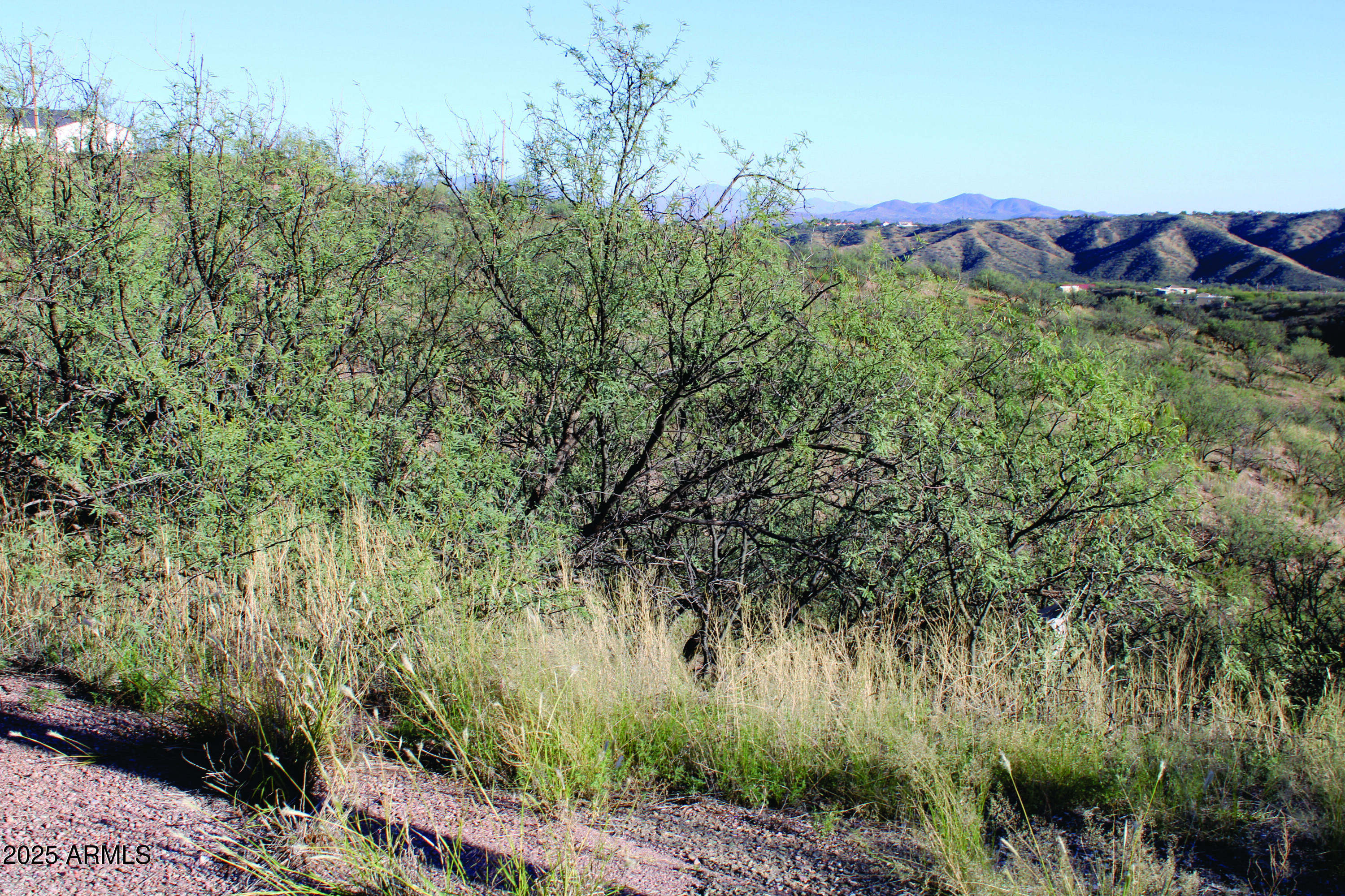 1190 Calle Chaparral, Unit 54 Rio Rico, AZ 85648 - Photo 11 of 12 a view of a backyard of a house