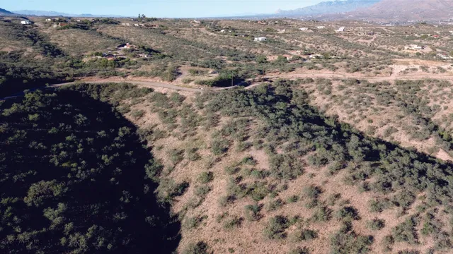 a view of a yard with a tree