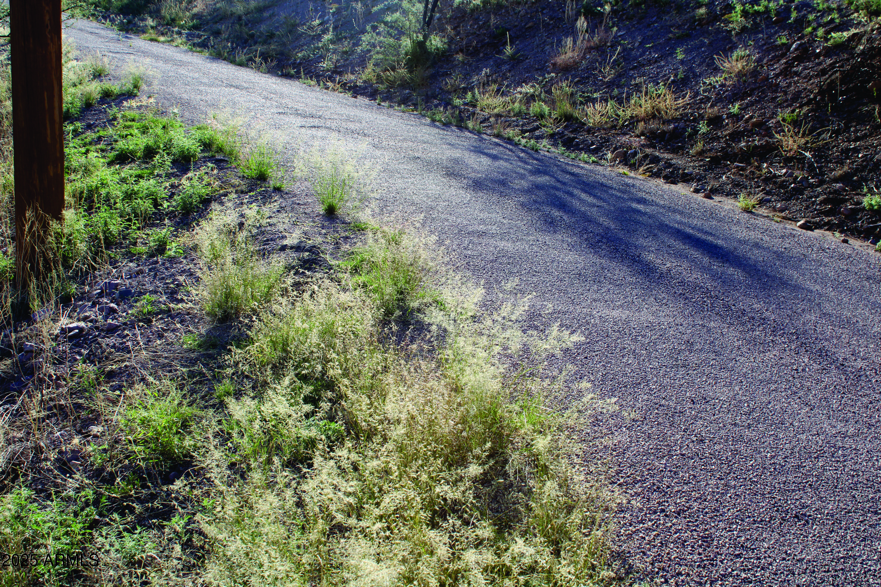 1190 Calle Chaparral, Unit 54 Rio Rico, AZ 85648 - Photo 8 of 12 a view of a yard with a tree