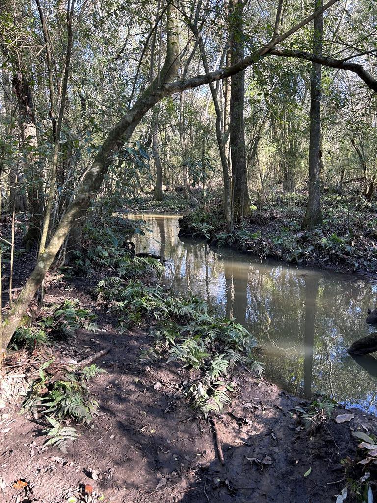 1164 Lake Frankie Road Samson, AL 36477 - Photo 12 of 36