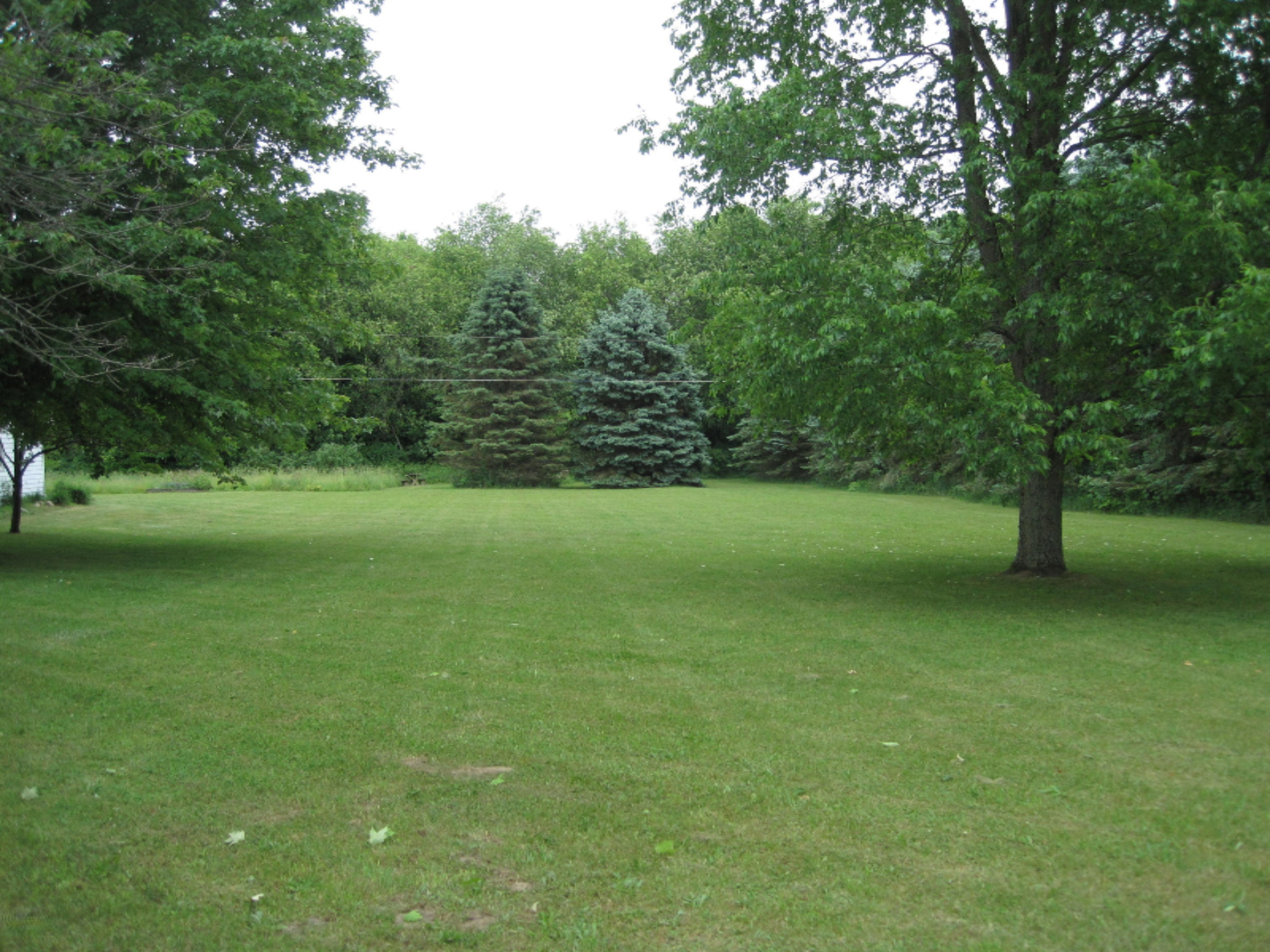 5153 South Monroe Road Greenville, MI 48838 - Photo 3 of 43 IMG_5276