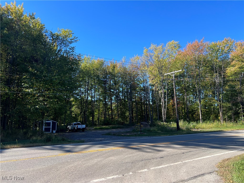 8625 Bainbridge Road Chagrin Falls, OH 44023 - Photo 16 of 20 View of asphalt street featuring a wooded view