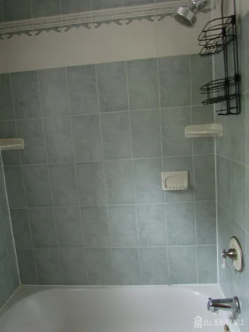 a bathroom with a shower and a bathtub