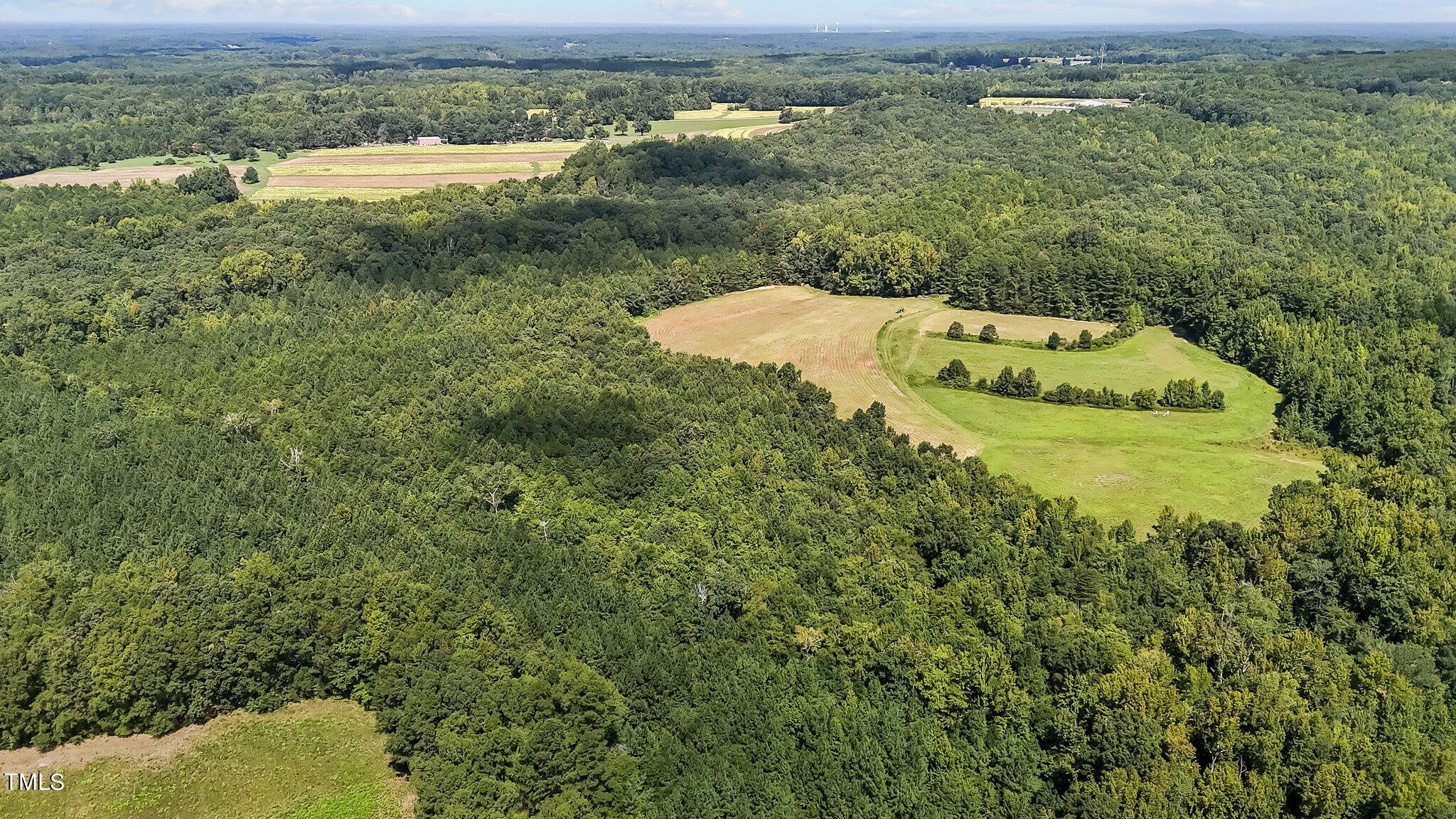 45-acres Hurdle Mills Road Roxboro, NC 27573 - Photo 12 of 25 6-web-or-mls-DJI_20240819120108_0663_D