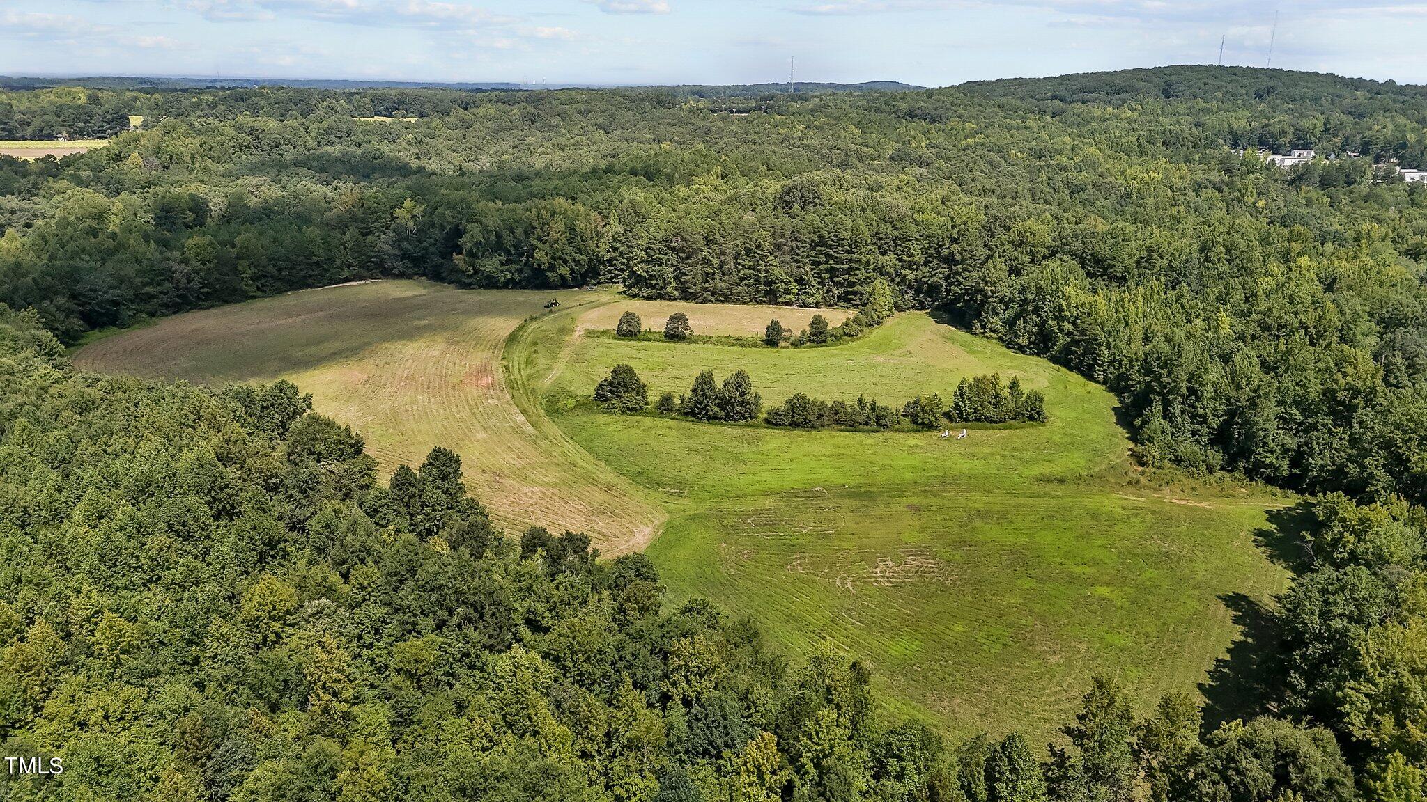 45-acres Hurdle Mills Road Roxboro, NC 27573 - Photo 13 of 25 8-web-or-mls-DJI_20240819120149_0665_D