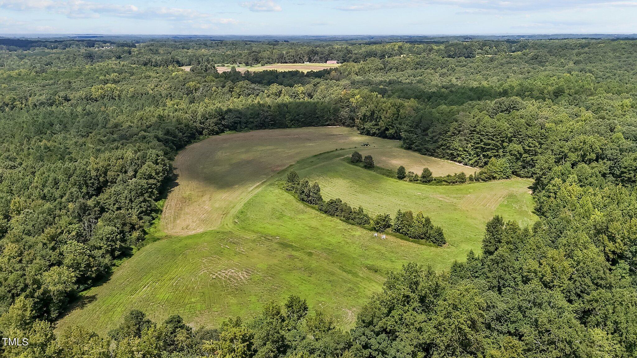 45-acres Hurdle Mills Road Roxboro, NC 27573 - Photo 15 of 25 10-web-or-mls-DJI_20240819120209_0667_D
