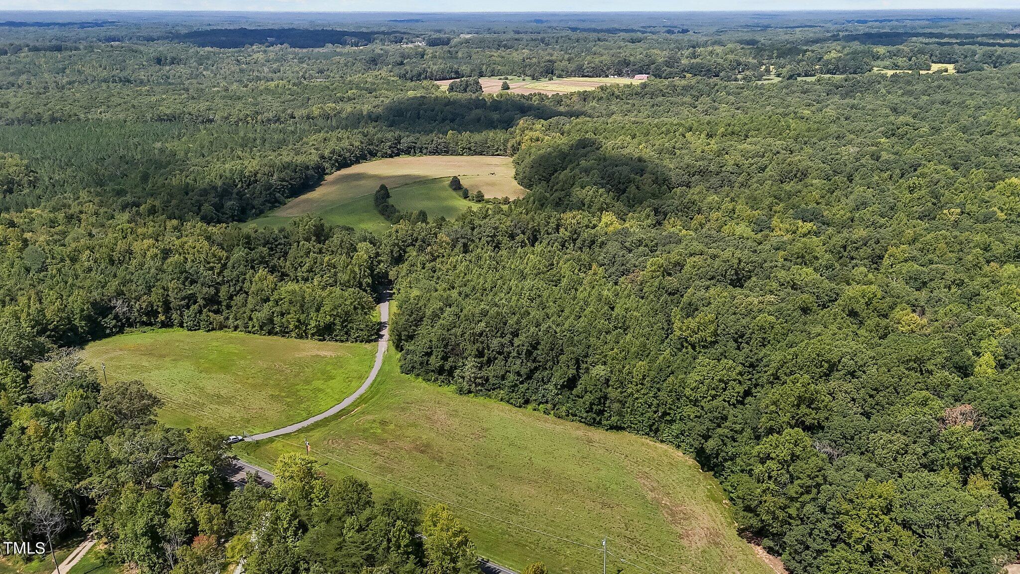 45-acres Hurdle Mills Road Roxboro, NC 27573 - Photo 17 of 25 12-web-or-mls-DJI_20240819120259_0669_D