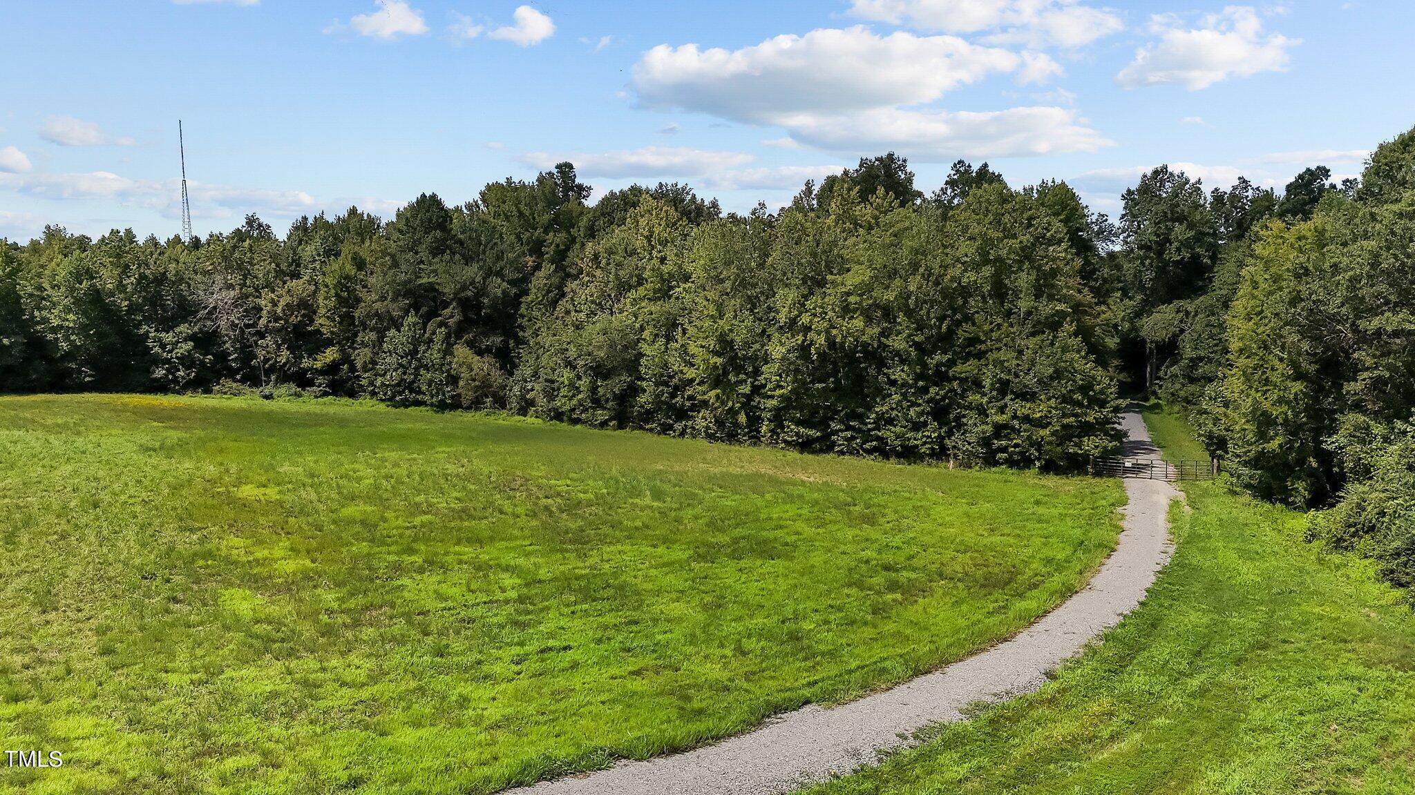 45-acres Hurdle Mills Road Roxboro, NC 27573 - Photo 19 of 25 14-web-or-mls-DJI_20240819120331_0671_D